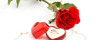 Love Red Rose Wedding Ring Cover Photo