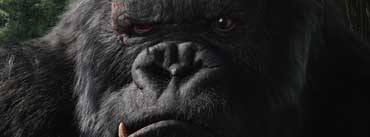 King Kong Cover Photo