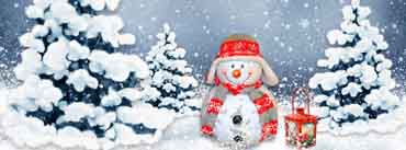 Funny Snowman Cover Photo