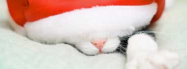 Santa Cat Cover Photo