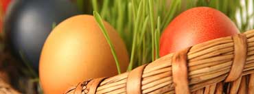 Happy Easter Egg Basket Cover Photo