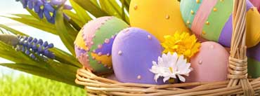 Purple Yellow Easter Eggs Cover Photo