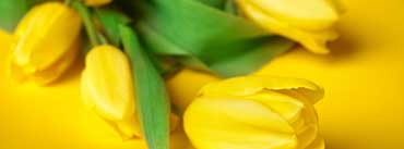 Easter Flowers Cover Photo