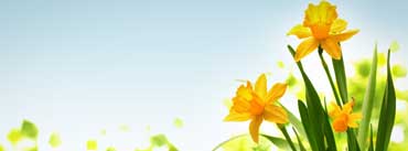 Happy Easter Yellow Flower Cover Photo