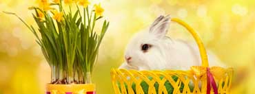 Happy Easter Bunny Cover Photo