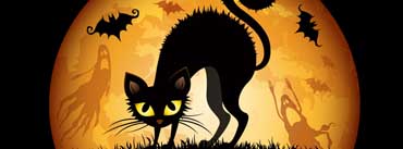 Halloween Cat And Bats Cover Photo