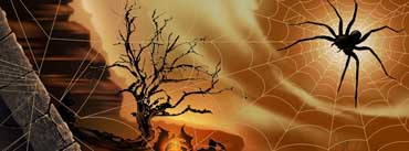 Halloween Spirit Spider Web Cover Photo