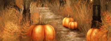 Pumpkins Halloween Path Cover Photo