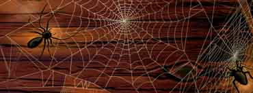 Spider Webs Cover Photo