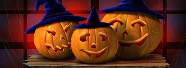 Three Pumpkins Cover Photo