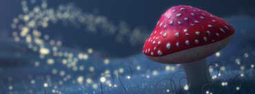 Fireflies Red Mushroom Cover Photo