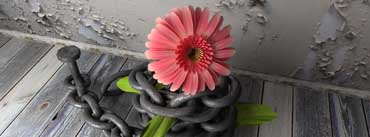 Flower With Chain Cover Photo