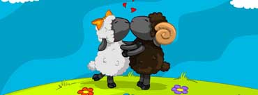 Sheeps In Love Cover Photo