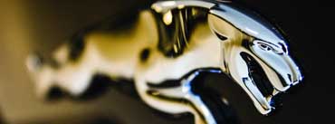 Jaguar Logo Close Up Cover Photo