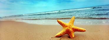 Starfish On The Beach Cover Photo
