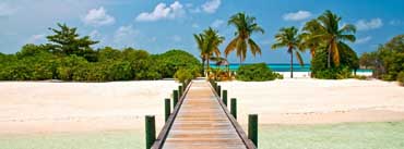 Tropical Dock Cover Photo