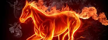 Fire Horse Cover Photo