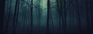 Dark Forest Cover Photo