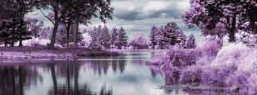 Infrared Pond Cover Photo