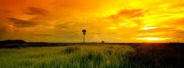 Beautiful Yellow Sunset Cover Photo