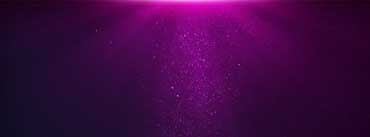 Fuchsia Light Cover Photo