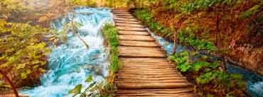 Wooden Path Along The Stream Cover Photo