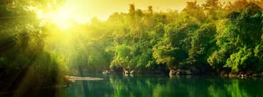 Lush Green Forest River At Sunrise Cover Photo