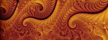 Orange Fractal Cover Photo