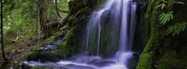 Beautiful Forest Waterfall Cover Photo