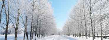 Road Covered With Snow Cover Photo