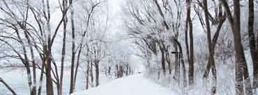 White Snowy Road Cover Photo