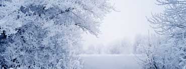 White Winter Scenery Cover Photo