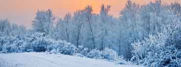 Winter Snow Trees Sunset Cover Photo