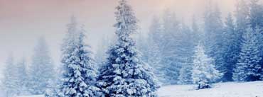 Winter Snow Trees Cover Photo