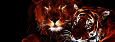 Glowing Lion And Tiger Cover Photo