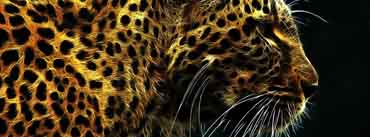 Leopard Cover Photo