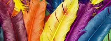 Colorful Feathers Cover Photo