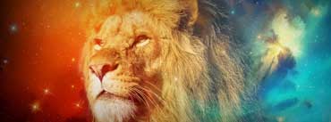 Leon Fugaz Lion Cover Photo