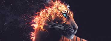 Tiger Artwork Cover Photo