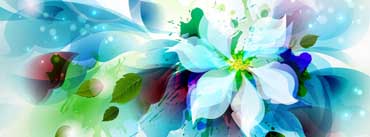 Abstract Flower Cover Photo