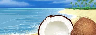 Exotic Coconut On The Beach Cover Photo