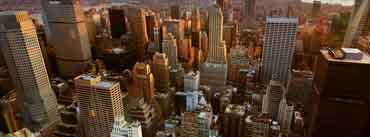 The View Of New York City Cover Photo