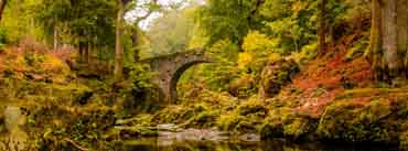 Foleys Bridge Autumn Cover Photo