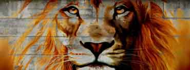 Lion Graffiti Art Cover Photo