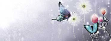 Butterfly Digital Painting Cover Photo