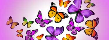 Butterflies Vector Cover Photo