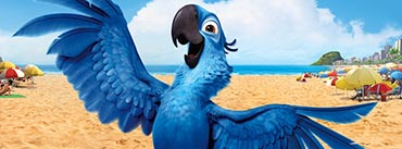 Rio Bird Movie Cover Photo