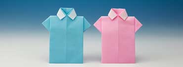 Origami Blue Pink Shirts Cover Photo