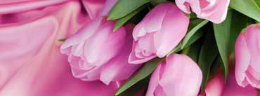 Romantic Tulips Cover Photo