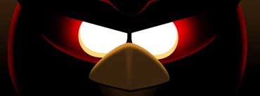 Angry Birds Space Cover Photo